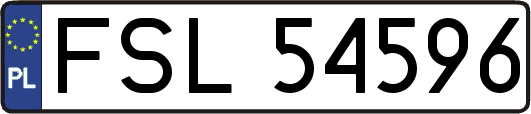 FSL54596
