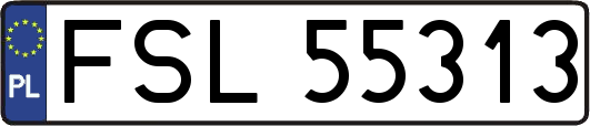 FSL55313