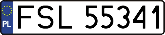 FSL55341