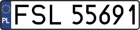 FSL55691