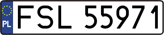 FSL55971