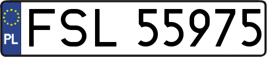 FSL55975