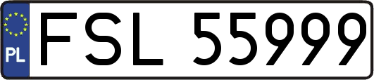 FSL55999