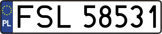 FSL58531