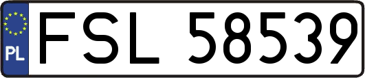 FSL58539