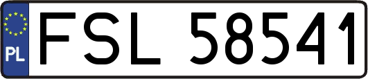 FSL58541