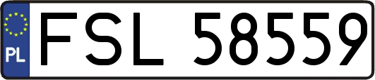 FSL58559