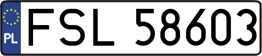 FSL58603