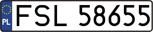 FSL58655