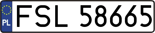 FSL58665