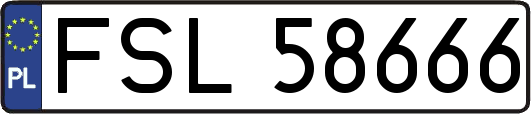 FSL58666