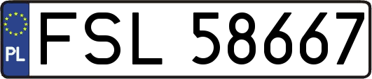 FSL58667