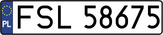 FSL58675