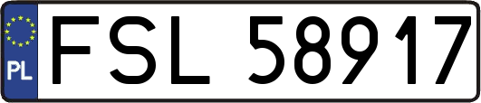 FSL58917