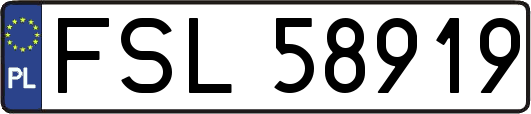 FSL58919