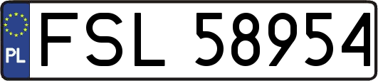 FSL58954