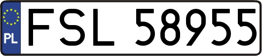 FSL58955