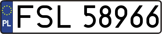 FSL58966