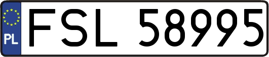 FSL58995