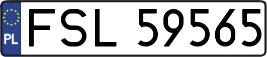 FSL59565