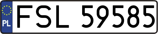 FSL59585