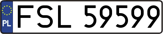 FSL59599