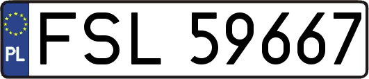 FSL59667