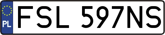FSL597NS