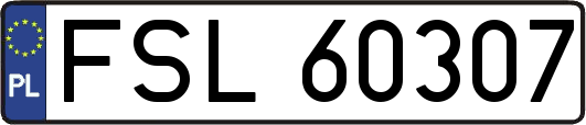 FSL60307