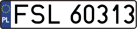 FSL60313