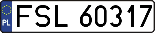 FSL60317