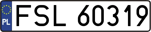 FSL60319