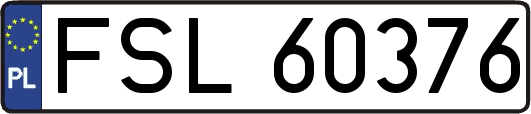 FSL60376