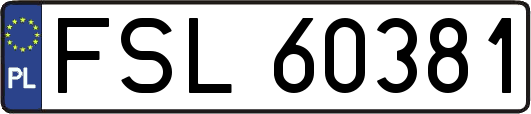 FSL60381