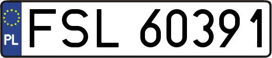 FSL60391