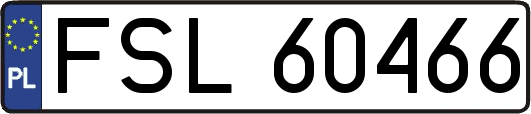 FSL60466