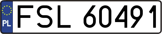 FSL60491