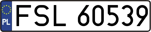 FSL60539
