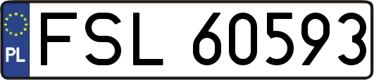 FSL60593