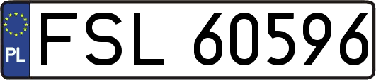 FSL60596