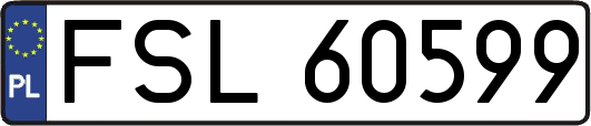 FSL60599