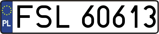 FSL60613