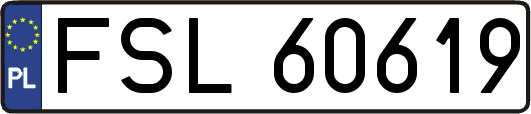 FSL60619