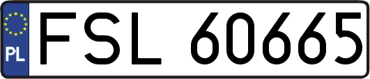 FSL60665