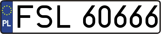 FSL60666