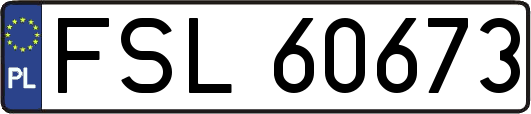 FSL60673