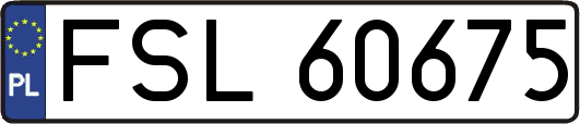 FSL60675