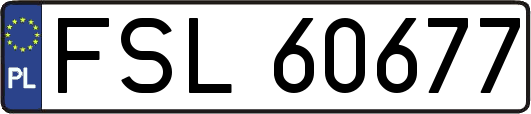 FSL60677