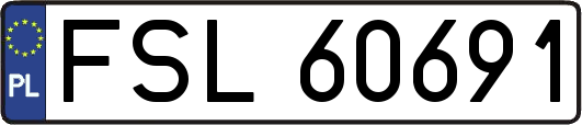 FSL60691