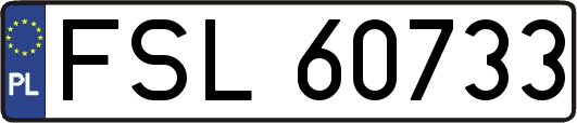 FSL60733